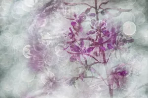 Meervoudige Belichting Ingrid Vekemans workshops