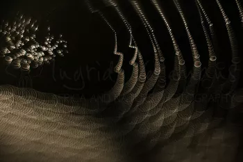 Spinnenweb met dauw bedekt