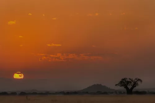 Setting sun in colourful sky on open landscape with trees